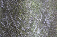 Pirbright Camp fibreglass roof work